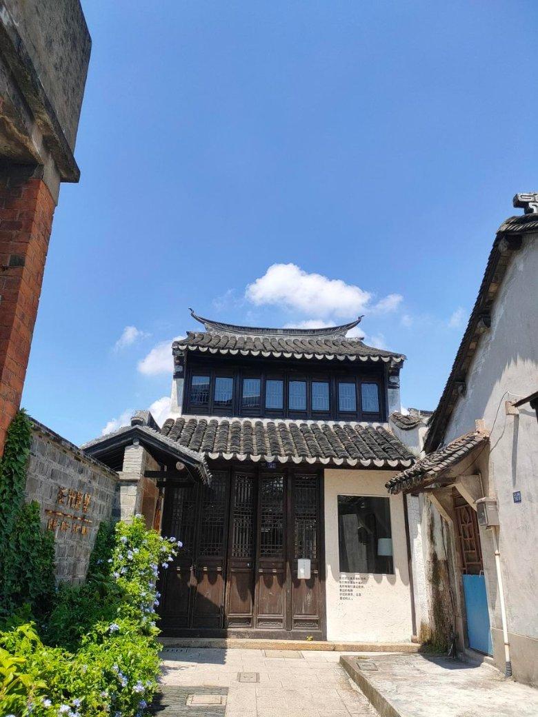 拯救小萌虎